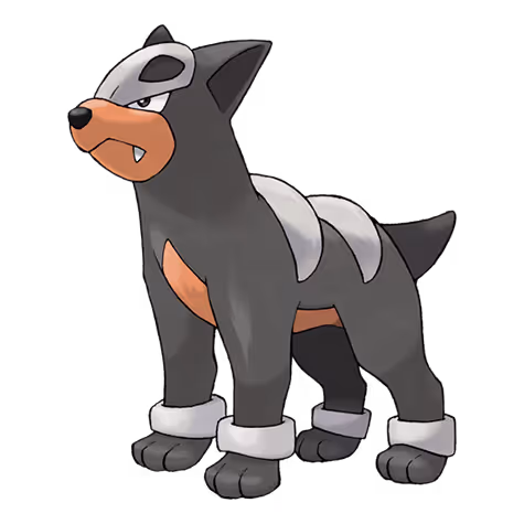 Hunduster